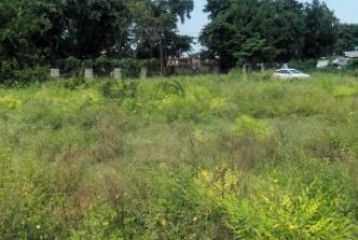 250 Square Yards  R - 3, Plots For Sale At Langha Road,Selaqui, Dehradun